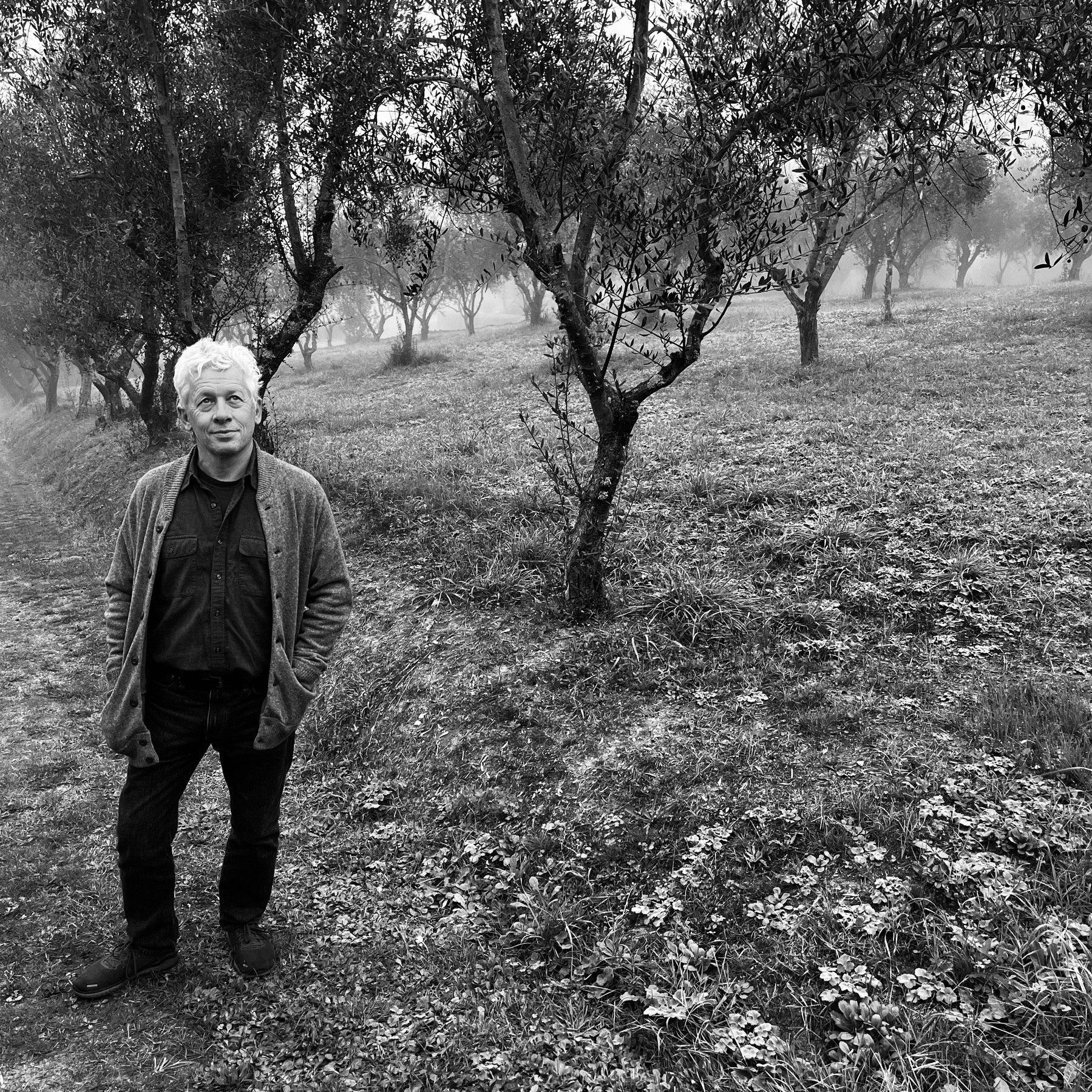 A man, me, David Johnson is standing on a path surrounded by a grove of olive trees in a black and white photo.